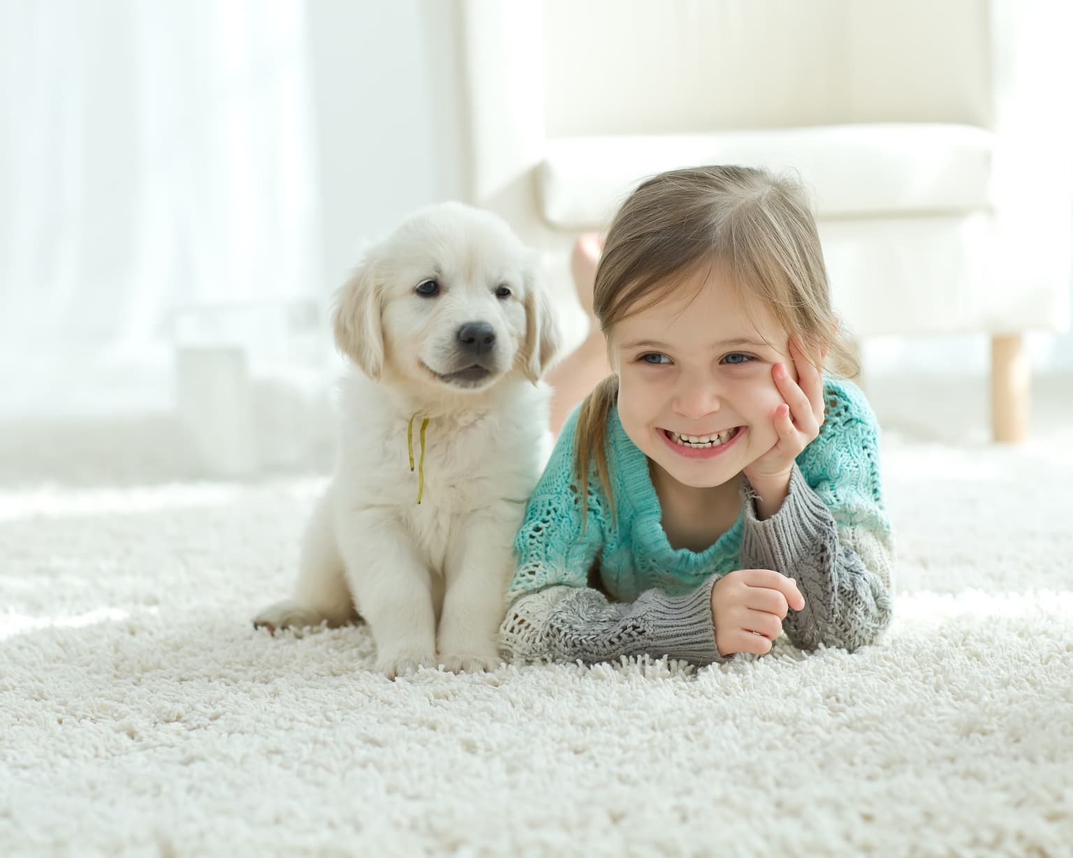 About Safe-Dry Carpet Cleaning of West Columbia