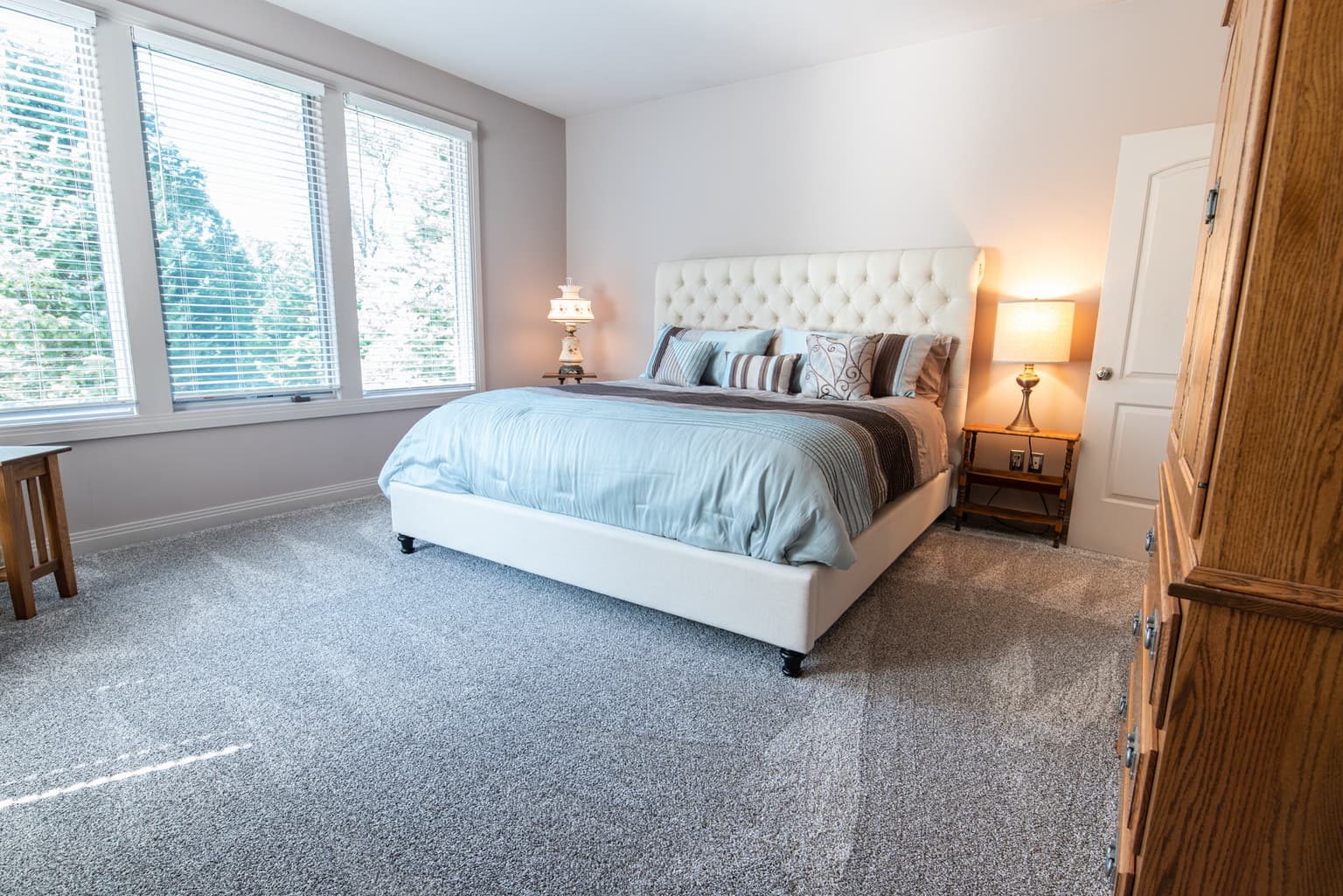Carpet cleaning in South Congaree, SC